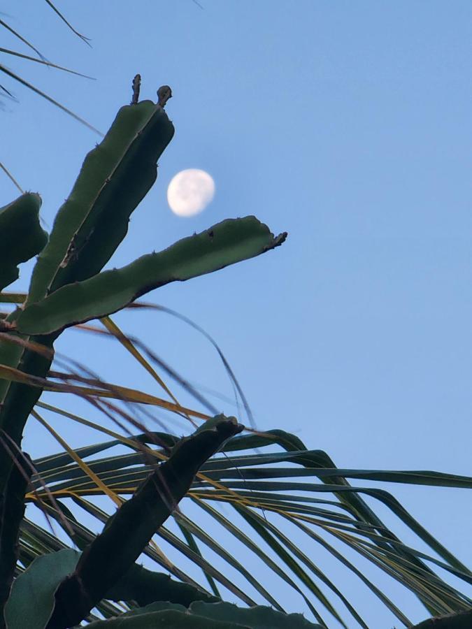 Myoli Wellness & Happiness Bnb Playa del Carmen Esterno foto