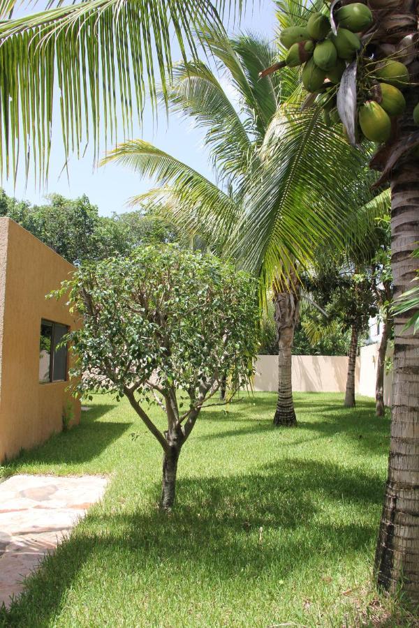 Myoli Wellness & Happiness Bnb Playa del Carmen Esterno foto