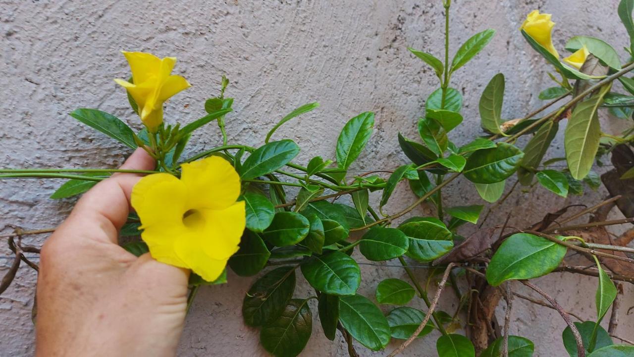 Myoli Wellness & Happiness Bnb Playa del Carmen Esterno foto