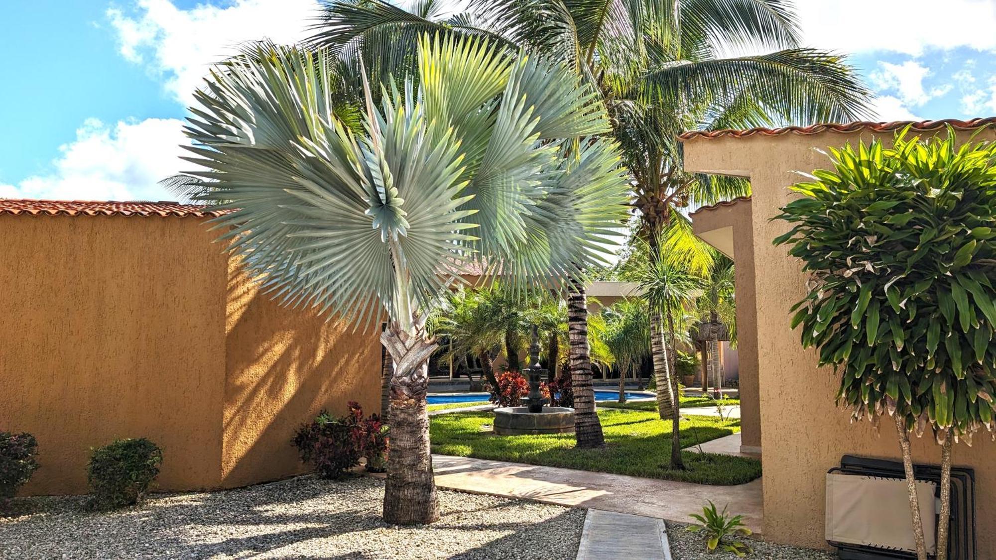 Myoli Wellness & Happiness Bnb Playa del Carmen Esterno foto
